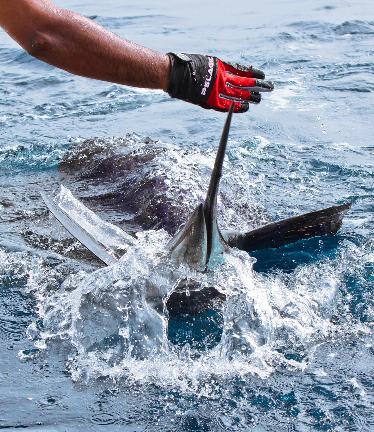 Pelagic Great Value | Fishing Gloves - End Game