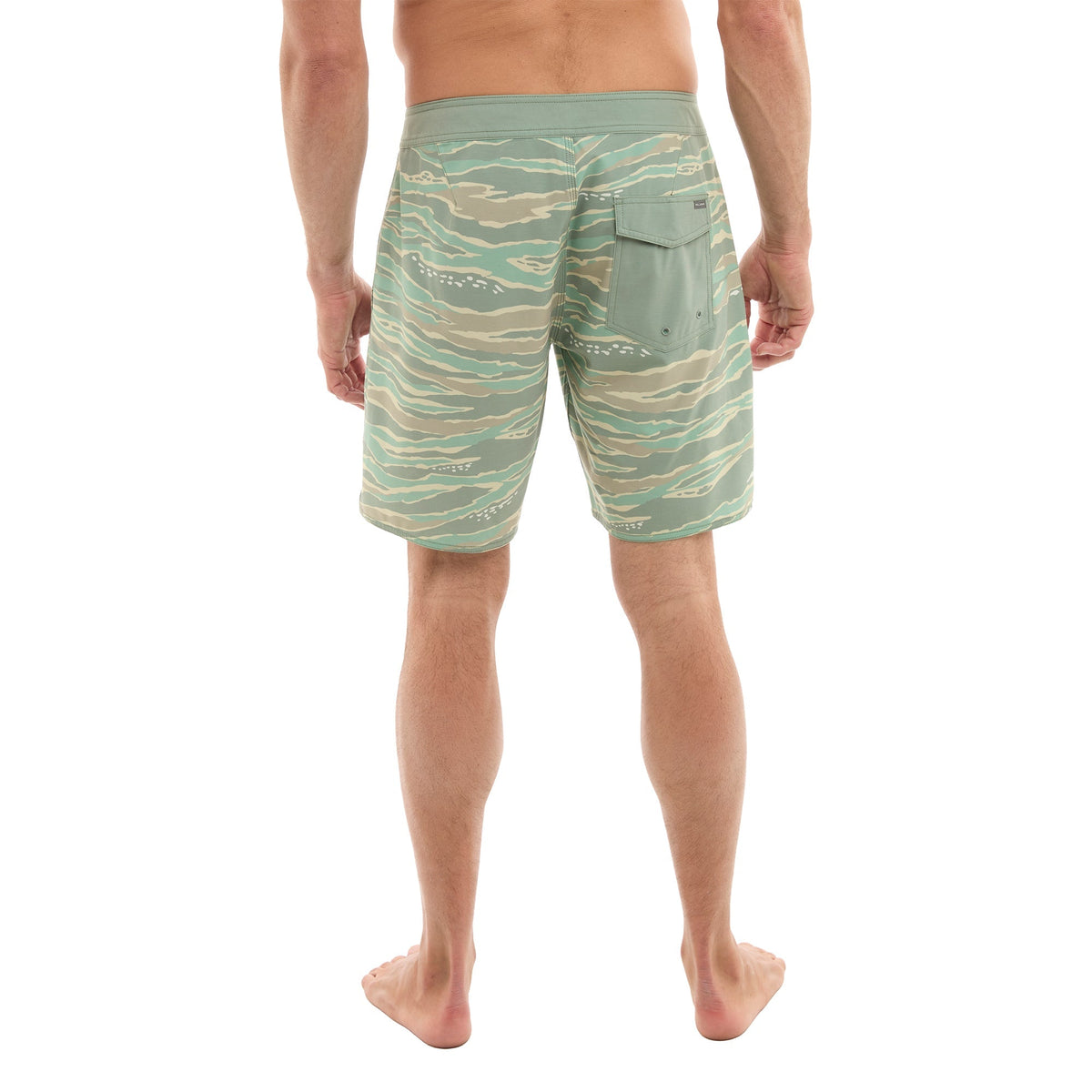Pelagic Everyday | Boardshorts 18" - Ledge